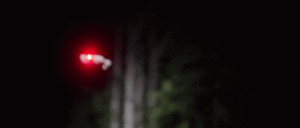 Квадрокоптер знищив гвинтами комах-шкідників у теплиці