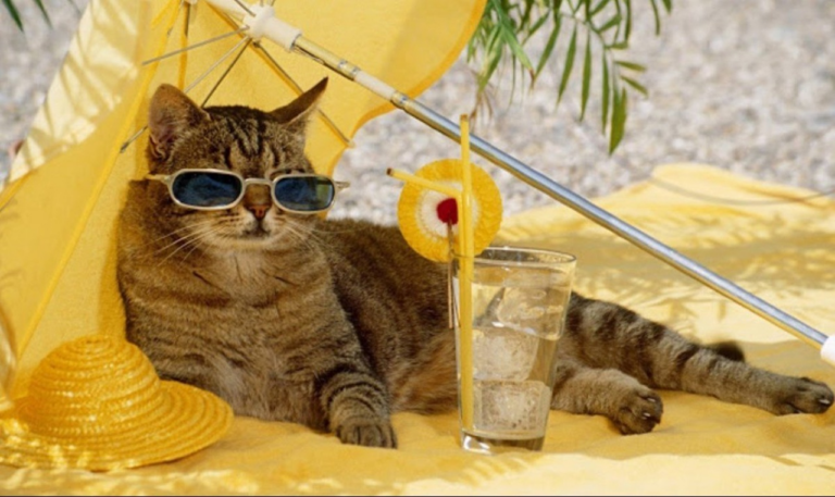 Понеділок був найспекотнішим днем на Землі за всю історію спостережень