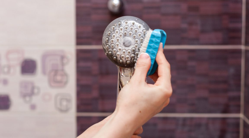 Як почистити душову лійку: 6 простих способів