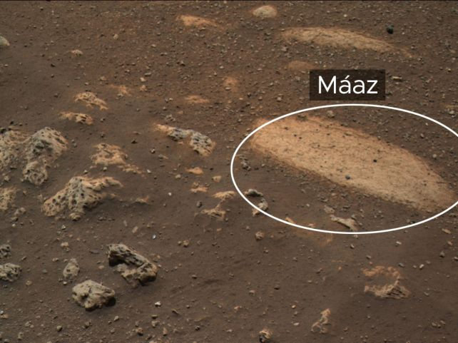 Вчені виявили нові сигнали органічних молекул на Марсі