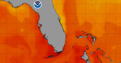 Температура води біля узбережжя Флориди злетіла вище 100 градусів, можливо, встановивши світовий рекорд