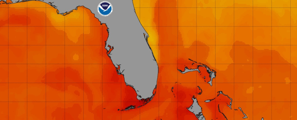 Температура води біля узбережжя Флориди злетіла вище 100 градусів, можливо, встановивши світовий рекорд