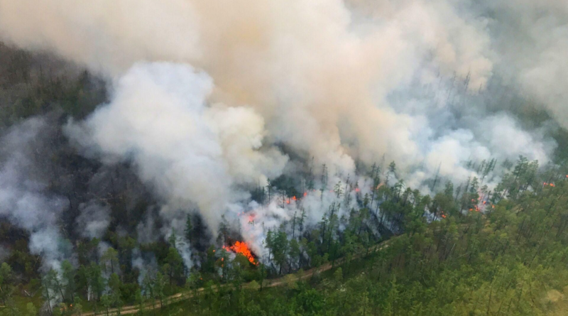 Дим від лісових пожеж у Канаді дістався Європи