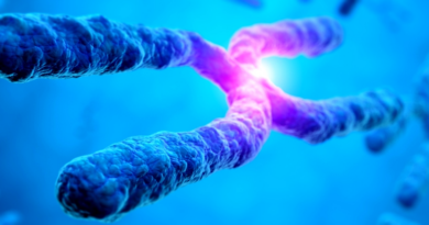 Синдром Х-хромосоми: Нові надії на лікування генетичного захворювання