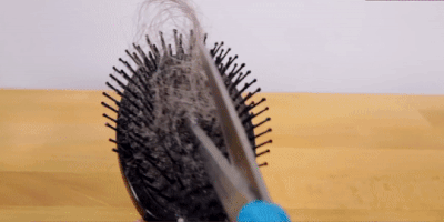Як почистити гребінець для волосся: розріжте волосся, що заплуталося