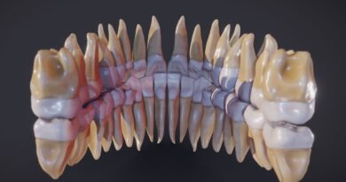 Японські вчені знайшли ліки, які вирощують нові зуби