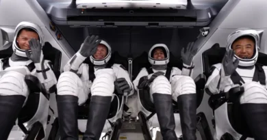 Місія NASA Crew-7 із чотирма космонавтами успішно прибула на МКС