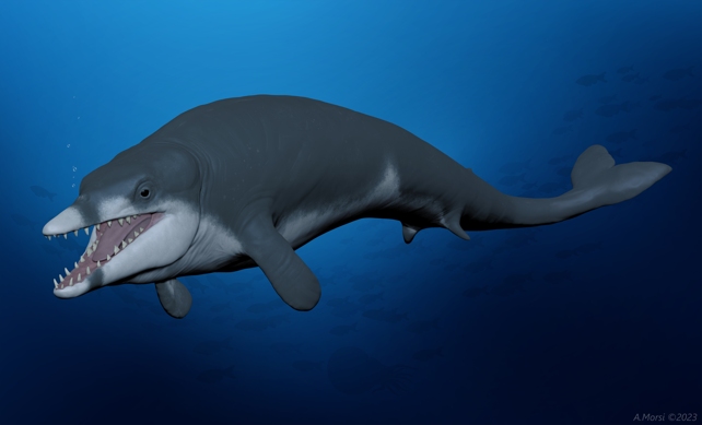 Ілюстрація стародавнього кита