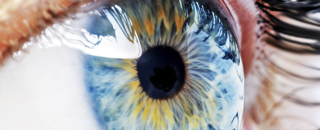 Вчені відновили клітини сітківки ока в лабораторії за допомогою нанотехнологій