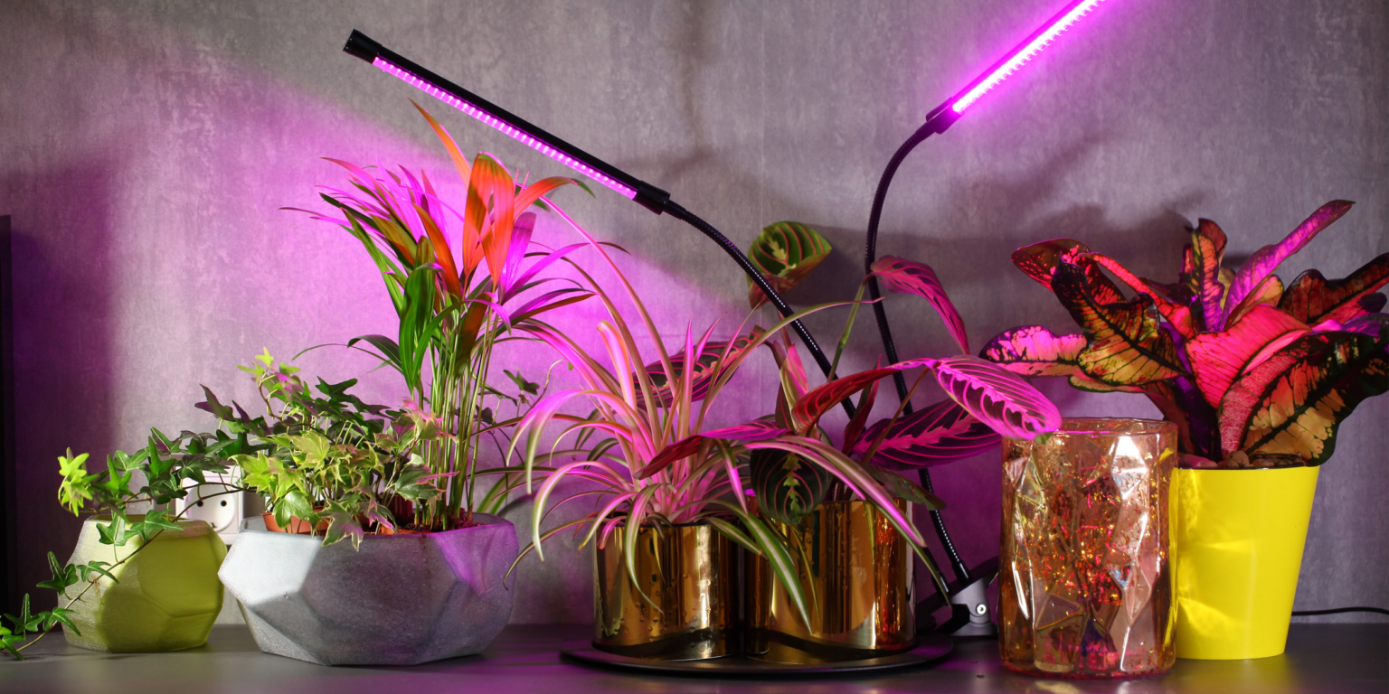 Магія світла: Фіто лампи для кімнатних рослин