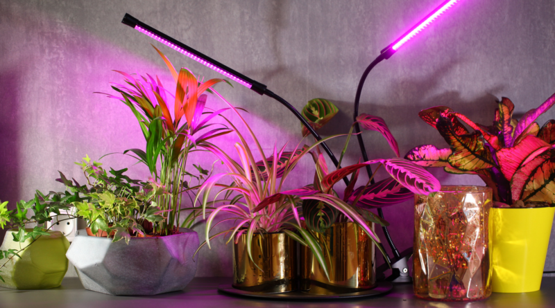 Магія світла: Фіто лампи для кімнатних рослин