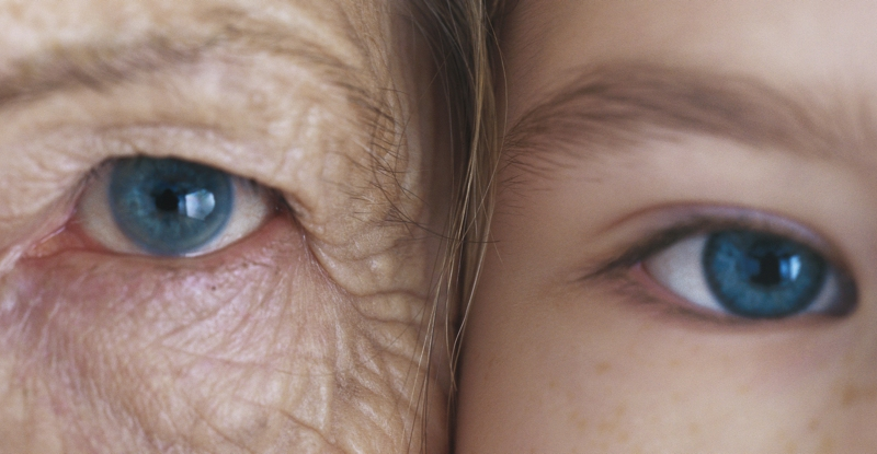 чХарчування наших бабусь може вплинути на наше подальше життя, - дослідження