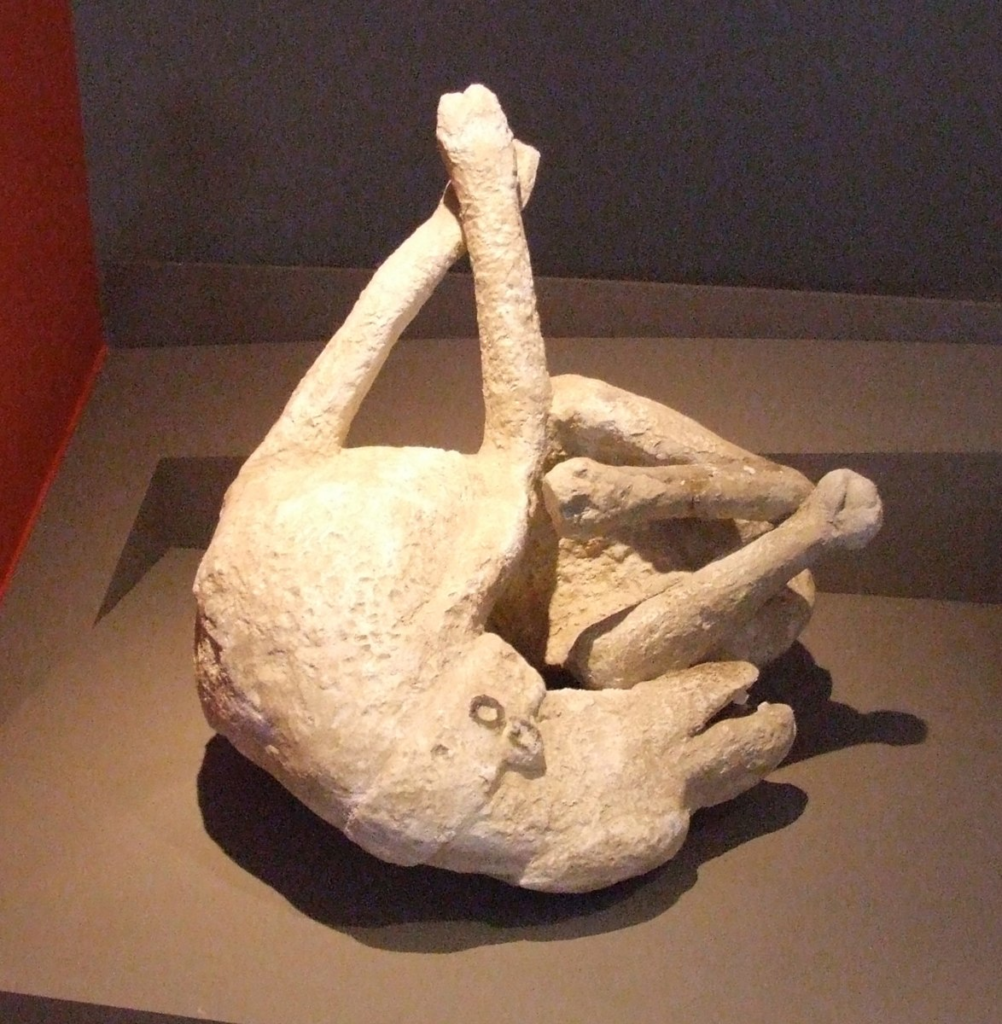 Гіпс, використаний для відливання тіл жертв Помпеї, мав забруднюючий вплив на їхні залишки
