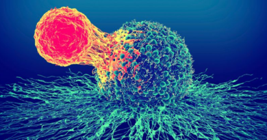 Нещодавно відкриті Т-клітини можуть позбавити пацієнтів на пізніх стадіях раку від пухлин
