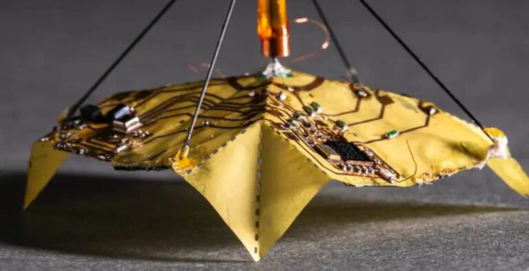 Унікальний дрон, який схожий на кленовий листок, вагою лише 40 грам – вчені показали нову розробку (фото)