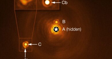Астрономи вперше сфотографували систему з двох зір, планети і коричневого карлика