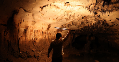 Печера на сході Іспанії розкриває масштабне палеолітичне наскельне мистецтво