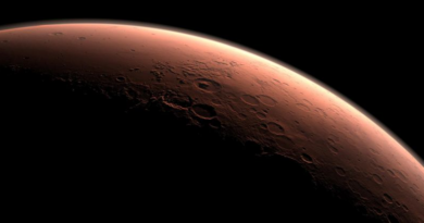 Виявлено Марсіанське життя, але воно загинуло через помилкові дії