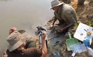 Археологи знайшли найдавнішу дерев'яну конструкцію — їй півмільйона років