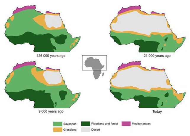 Бегемоти в пустелі: Дослідження показало, чому і коли пустеля Сахара позеленіла