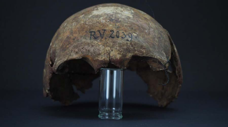 У черепі померлої 5000 років тому людини знайшли найдавніший зразок чумної палички
