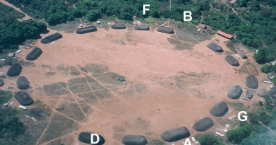 Жителі стародавньої Амазонії навмисно робили компост і удобрювали ґрунт