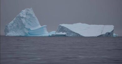 Морський лід навколо Антарктиди досяг рекордно низького рівня