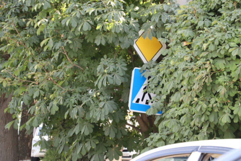 Коли поліція не має права штрафувати водіїв через дорожні знаки — роз’яснення