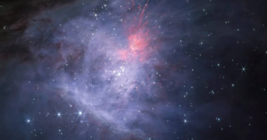 Телескоп "Джеймс Вебб", можливо, відкрив новий тип небесних тіл