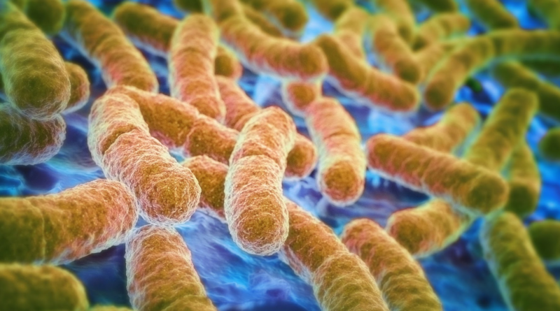 Дефіцит клітковини в раціоні пов'язали з харчовими алергіями