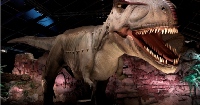 Динозаври страждали від грипу? - дослідження