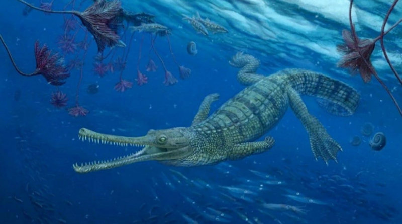 Палеонтологи з'ясували особливості росту морських крокодилів юрського періоду