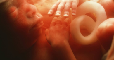 Свідомість людини, можливо, з'являється задовго до народження