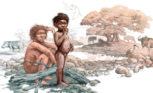 Еректуси освоїли високогір'я два мільйони років тому