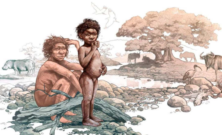 Еректуси освоїли високогір'я два мільйони років тому