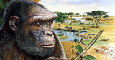 Предки людей стали на ноги вже сім мільйонів років тому. Чи вартувало воно того?
