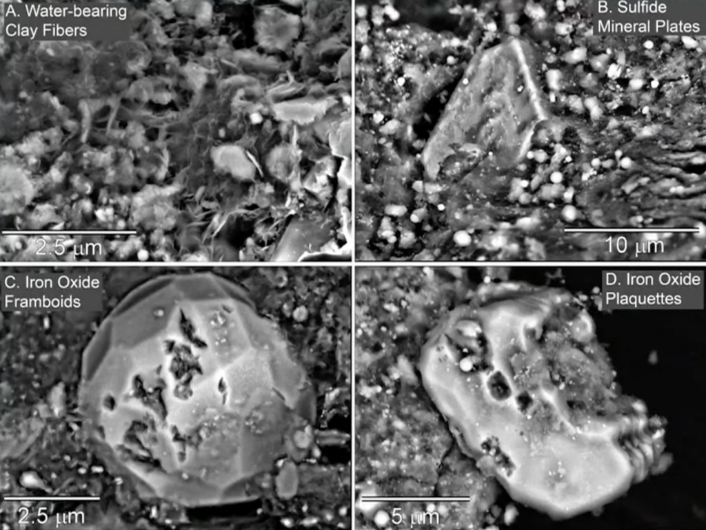 Зразки ґрунту з астероїда Бенну містять важливі для виникнення життя елементи