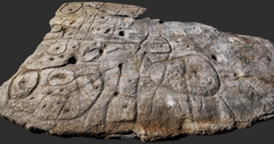 Археологи знайшли дивну скелю, на якій викарбувано карту скарбів