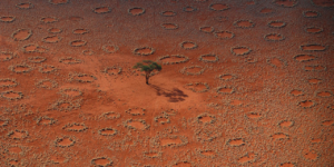 Супутникова зйомка підтвердила наявність загадкових "чарівних кіл" у 15 країнах