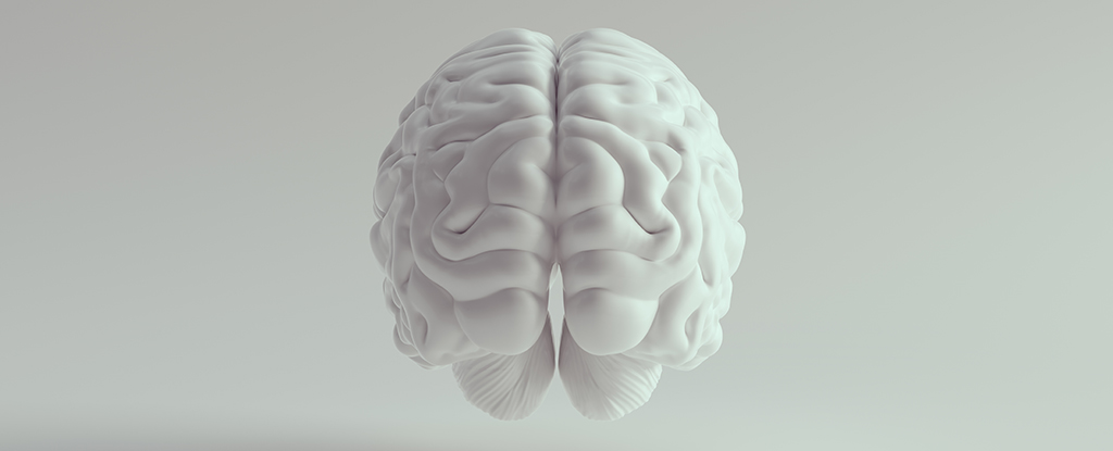 Вчені виявили потужні, незрозумілі сигнали в білій речовині мозку