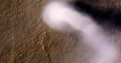 “Пиловий диявол” заввишки у 2 км: в NASA показали могутнє погодне явище на Марсі