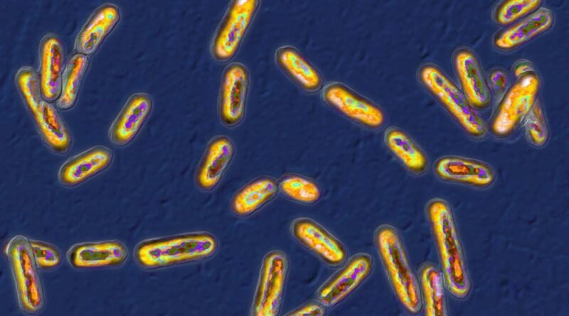 Хлорка виявилася неефективною проти поширеної супербактерії