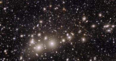 Телескоп «Евклід» показав туманність, неправильну галактику і кулясте скупчення