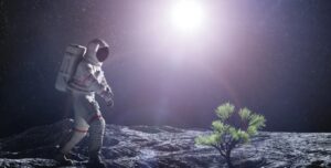 Китай створив першу в історії місячну ферму: вона довела, що рослини можуть рости на Місяці