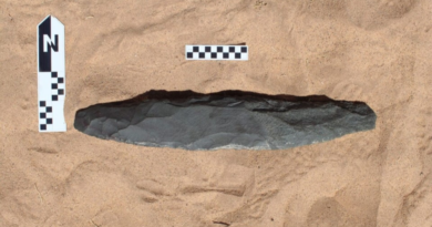 Археологи виявили величезне ручне рубило віком приблизно 200 тисяч років