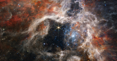 Десятки масивних зірок-втікачів знайдено у Чумацькому Шляху