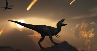 Стародавня "чорна скринька" розповідає, що насправді вбило динозаврів