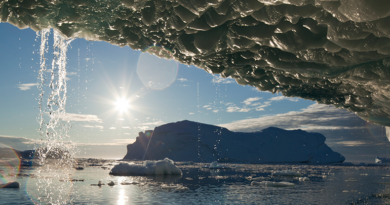 Небезпечний "фактор Х" може ховатися в льодах Землі, попереджає вчений