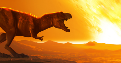 Динозаври вимерли б, навіть без метеорита, - нове дослідження