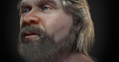 Вчені реконструювали обличчя неандертальця, що жив 47 000 років тому